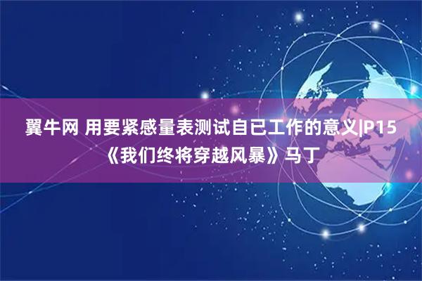 翼牛网 用要紧感量表测试自已工作的意义|P15《我们终将穿越风暴》马丁